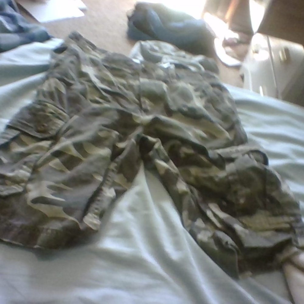 Cargo shorts and dress shorts